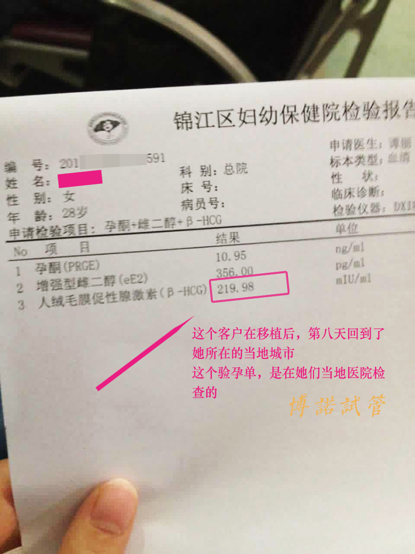 代孕机构试管婴儿.jpg